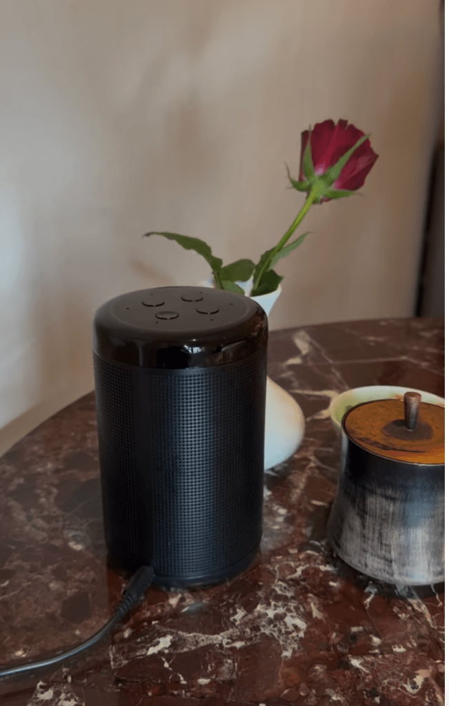 A black voice-controlled smart speaker placed on a marble table next to a small vase with a red rose and a ceramic container.