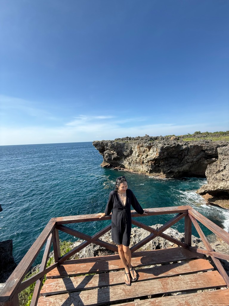 A person stands on a wooden deck overlooking a rocky coastline and blue ocean under a clear sky.